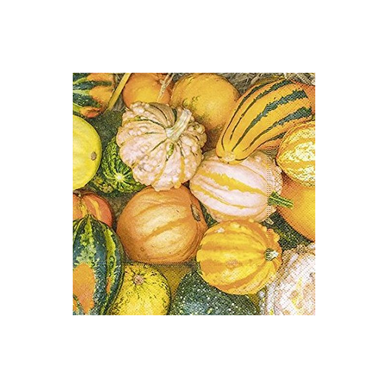 Paper+Design - Lot 20 Serviettes en papier Courge Decoration 33x33cm 
