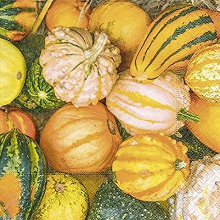 Paper+Design - Lot 20 Serviettes en papier Courge Decoration 33x33cm 
