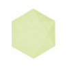 Lot de 6 assiettes hexagonales 20,8 x 18,1cm - vert - jetable 100% biodégradable - Vert Decor