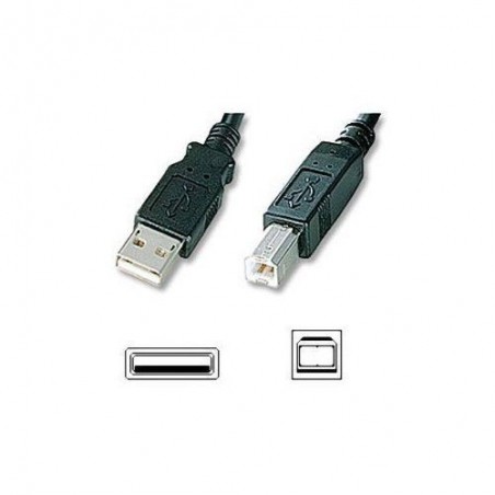 Cable USB Cordon USB 2m - 2 m - A/B Mâle/Mâle Imprimante Scanner  NEDIS