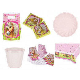 Lot Kit Pack Anniversaire...