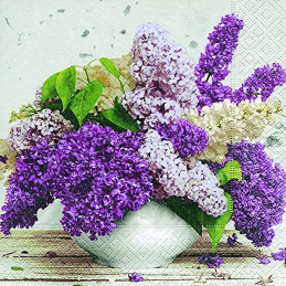 Paper+Design - Lot 20...