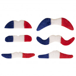 Lot de 6 Moustaches Bleu...